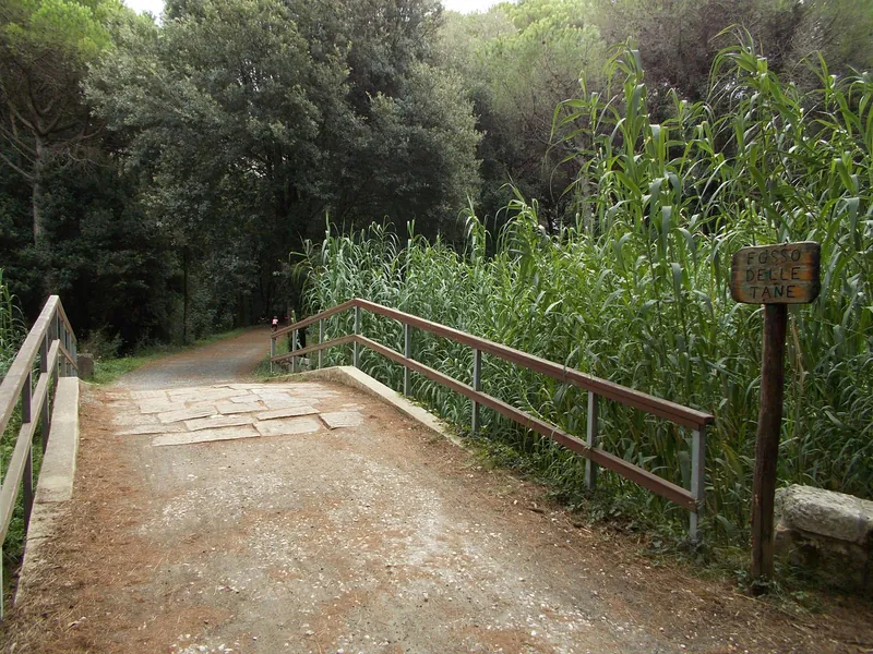 Area archeologica del Fosso delle Tane