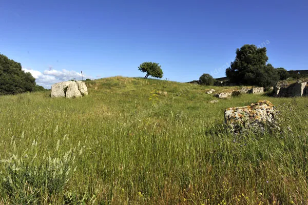 Area archeologica di Selinunte