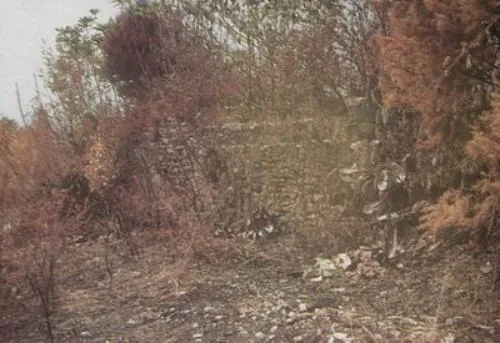 Area archeologica di Sinuessa