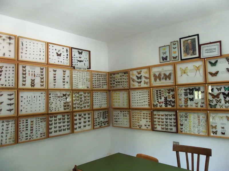 Associazione Amici del Museo di scienze naturali Belvi'