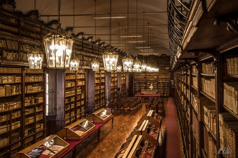 Biblioteca Universitaria di Pavia