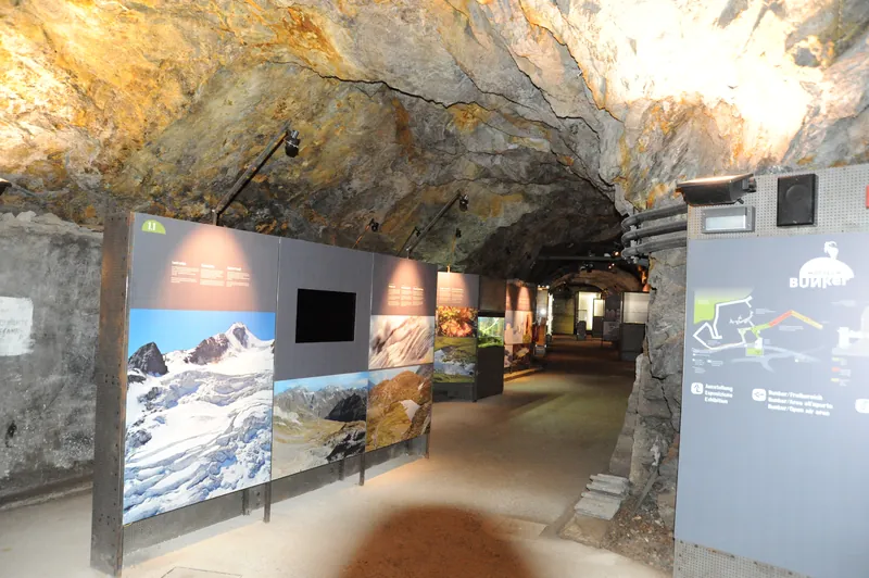 Bunker Mooseum