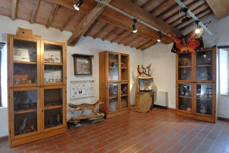Centro di documentazione Flora e Fauna del Monte Peglia