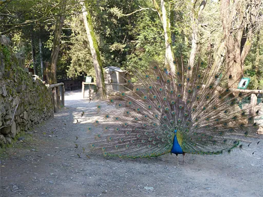 Centro di scienze naturali di Galceti