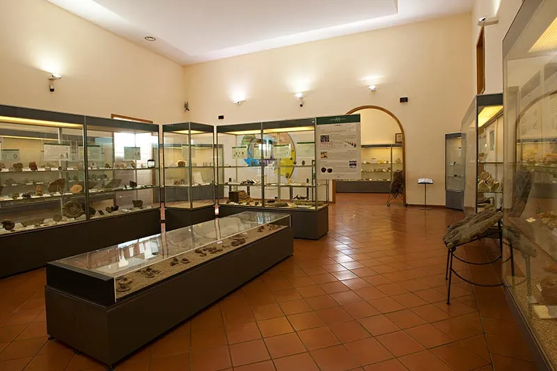 Centro Musei delle scienze naturali