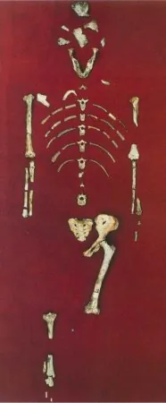 Collezione di antropologia