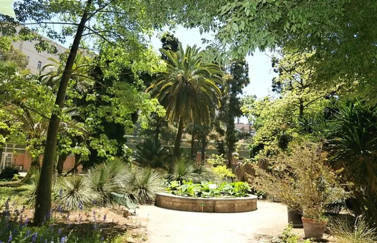 Dipartimento di scienze botaniche