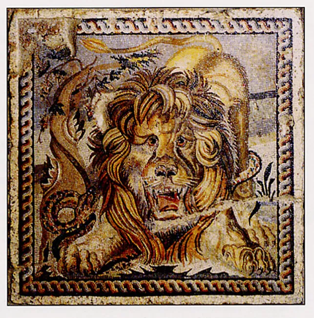 Domus Savini