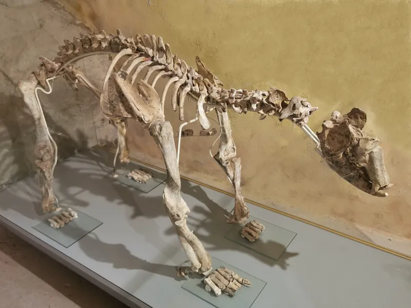 Ecomuseo della Montagna Pistoiese – Museo Naturalistico Archeologico dell'Appennino Pistoiese (MuNAP)