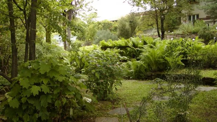 Giardino botanico Rea