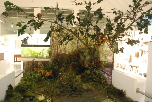 MAP - Museo dell’Agro Pontino