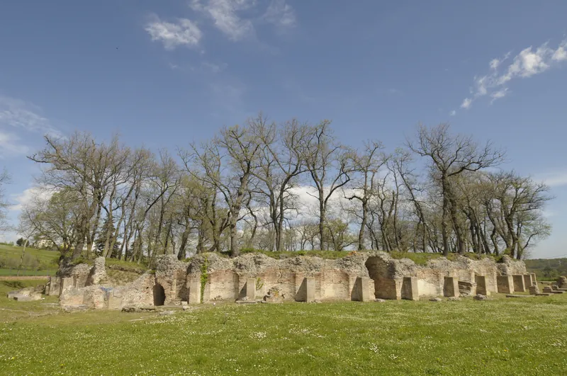 Museo archeologico nazionale e Parco archeologico di Urbs Salvia