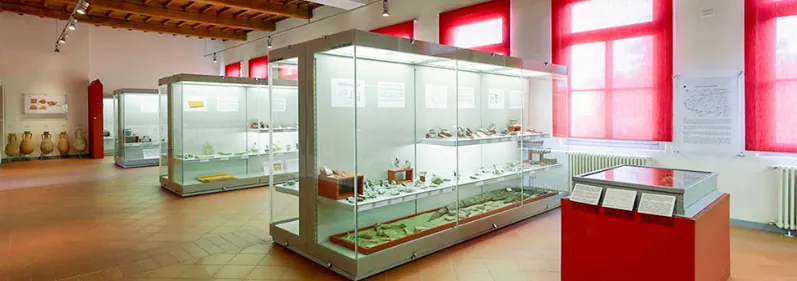 Museo civico A. Parazzi Presso Mu.Vi.