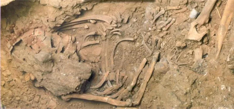 Museo civico di civiltà preclassiche dalla Murgia meridionale