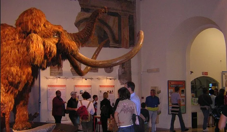 Museo civico di scienze naturali Enrico Caffi