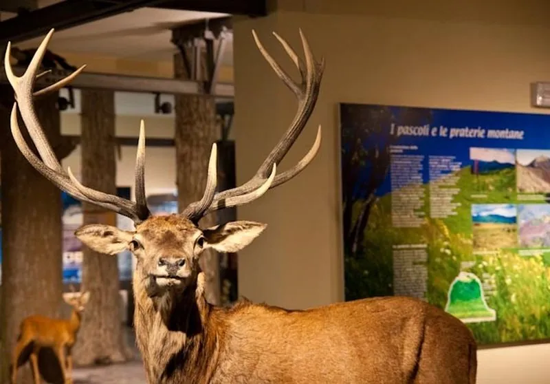 Museo civico di storia naturale di Piacenza