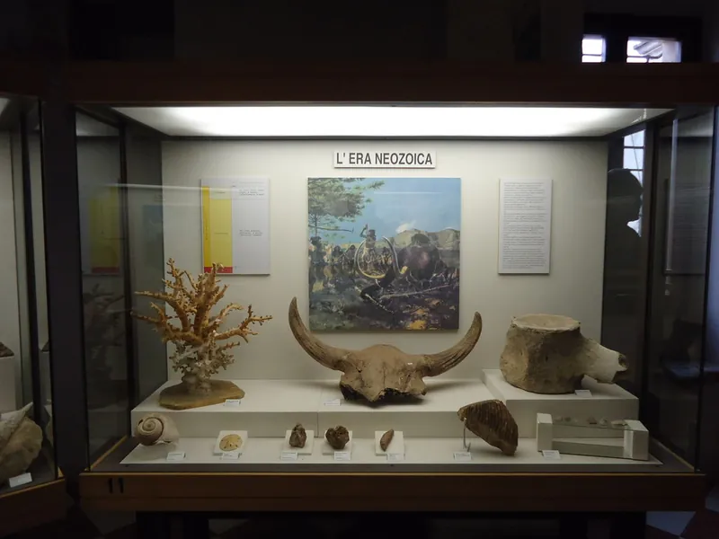 Museo civico Geopaleontologico