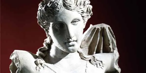 Museo civico "Giuseppe Fiorelli"