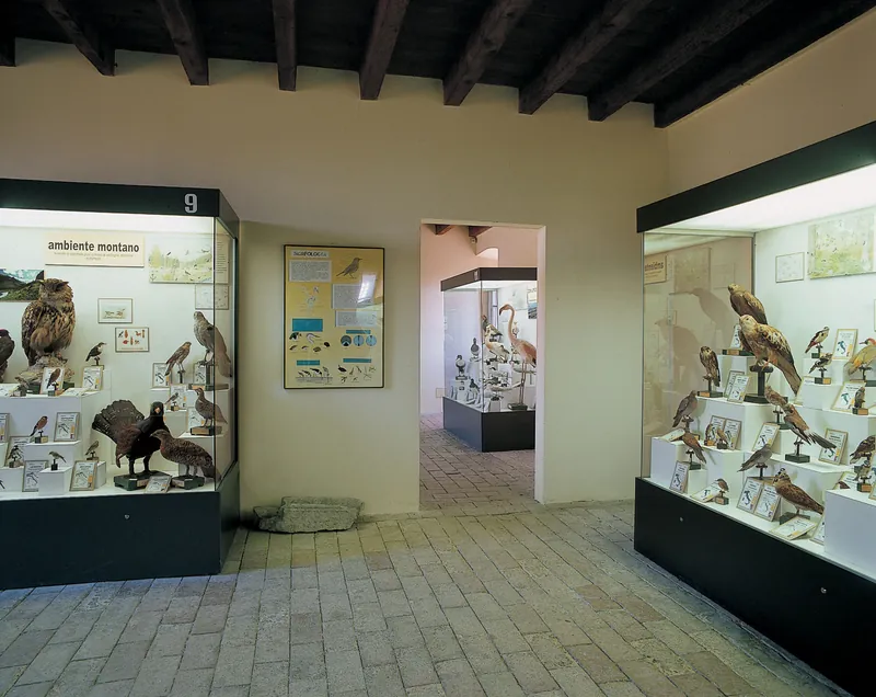 Museo civico ornitologico Gustavo Adolfo Carlotto