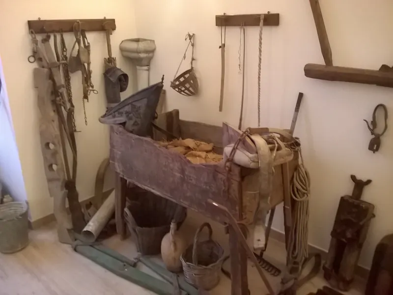 Museo civico San Ferdinando di Puglia