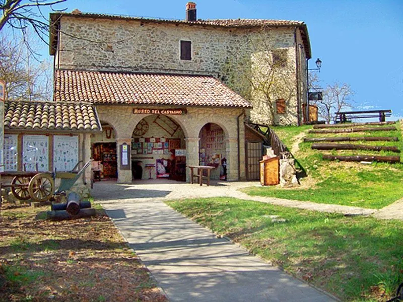 Museo del castagno di Zocca