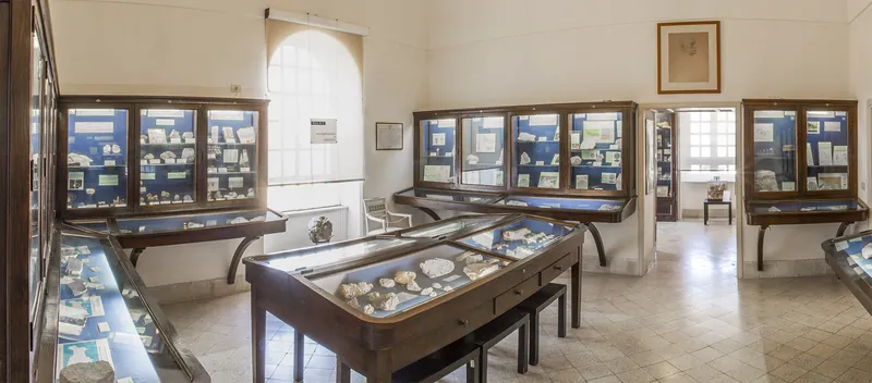Museo del Centro Caprense Ignazio Cerio