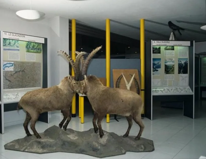 Museo del centro visitatori del Parco nazionale del Gran Paradiso di Noasca