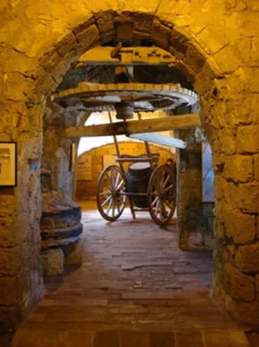 Museo del sale