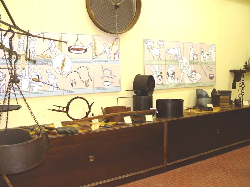 Museo del territorio "Oberdan Poleti"