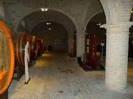 Museo del vino di Tolentino