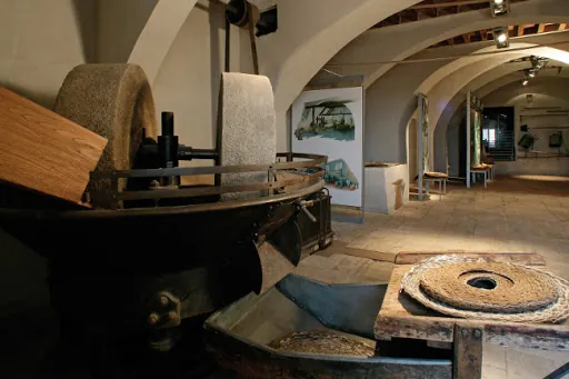Museo dell'antica grancia e dell'olio