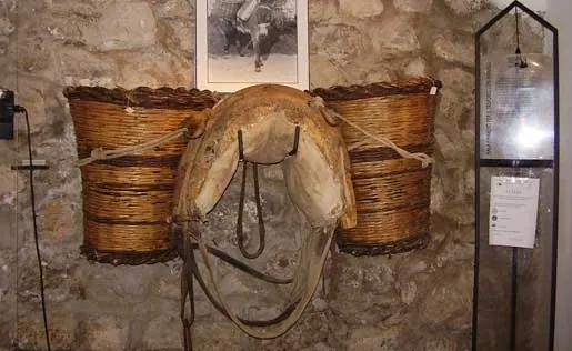 Museo della civiltà contadina e dell'ulivo
