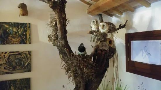 Museo della corte