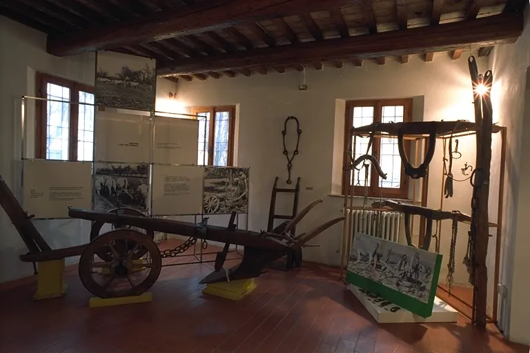Museo della frutticoltura Adolfo Bonvicini