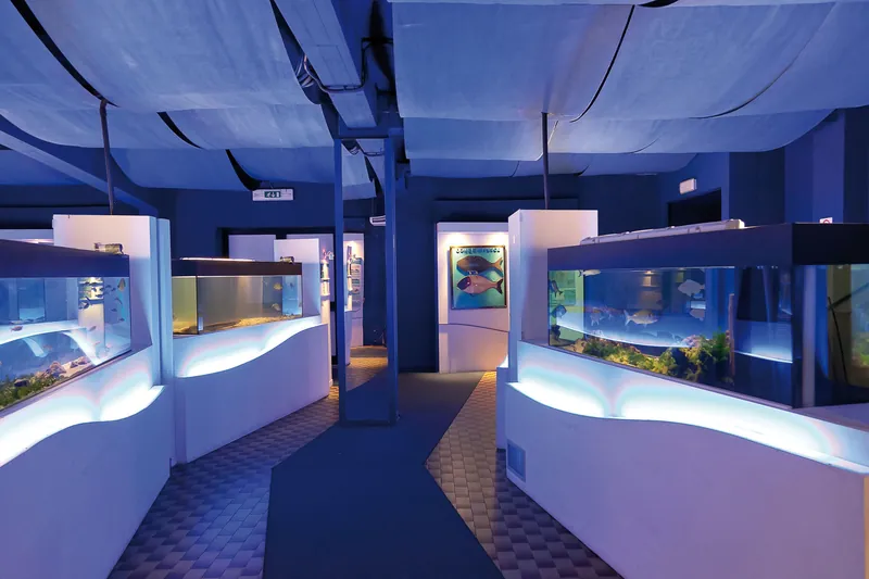 Museo della pesca e delle tradizioni lagunari