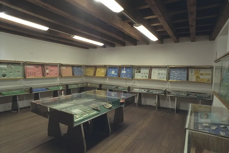 Museo delle conchiglie