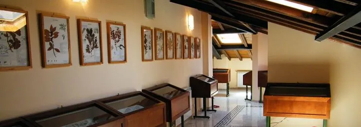 Museo delle erbe dei Monti Ernici