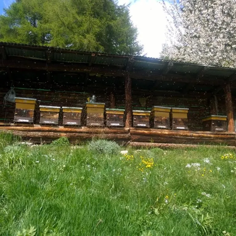 Museo dell’osservatorio di apicultura "Don Giacomo Angeleri"
