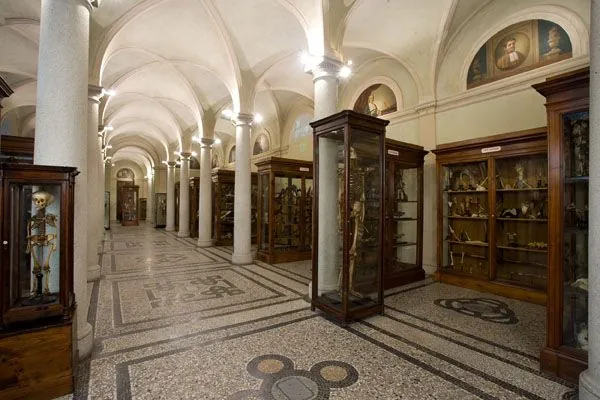 Museo di anatomia umana "Luigi Rolando"