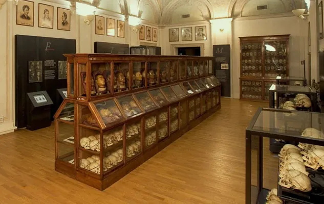 Museo di antropologia criminale "Cesare Lombroso"
