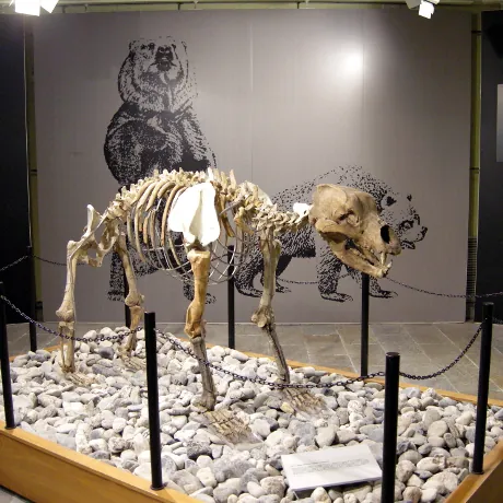 Museo di Archeologia e Paleontologia "Carlo Conti"