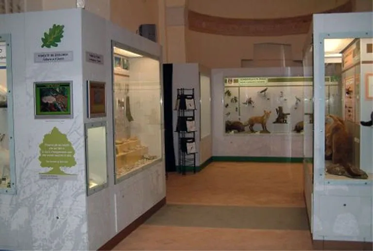 Museo di ecologia