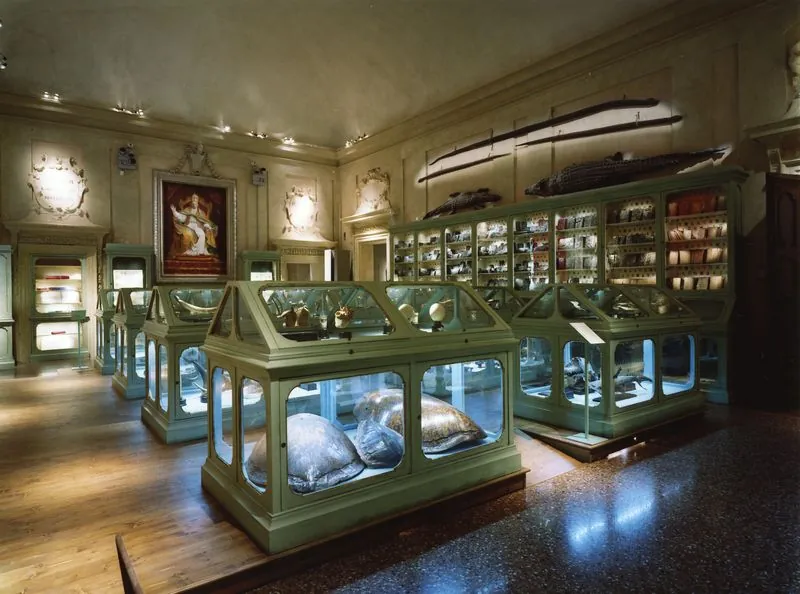 Museo di Palazzo Poggi