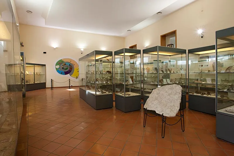 Museo di paleontologia del Centro musei scienze naturali