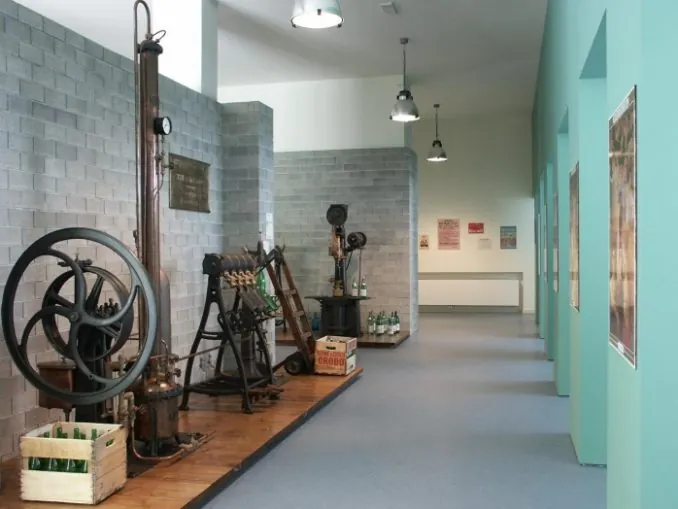 Museo di scienze della terra "Ubaldo Baroli"