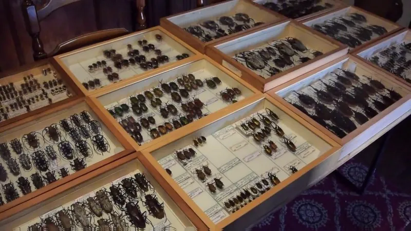 Museo di scienze naturali di Guardabosone