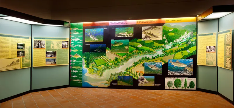Museo di scienze naturali Luigi Paolucci