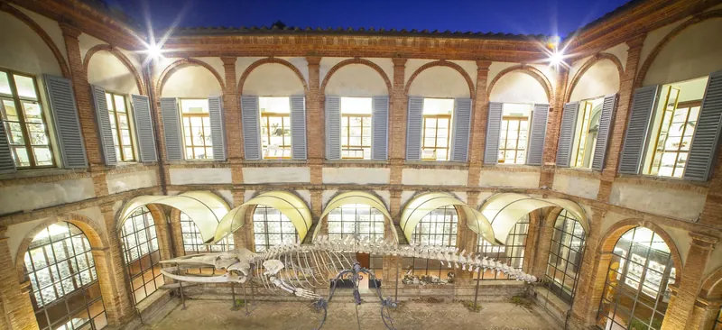 Museo di storia naturale dell'Accademia dei Fisiocritici