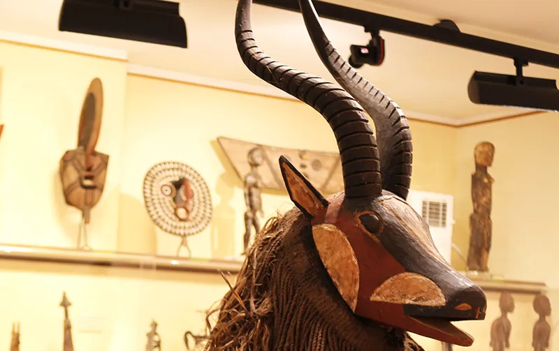 Museo di storia naturale dell'Istituto "Fratelli della Sacra Famiglia"