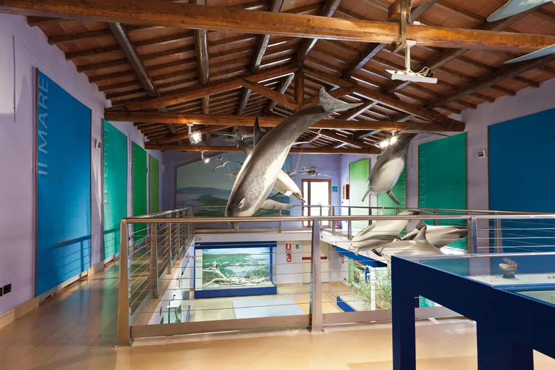 Museo di storia naturale della Maremma